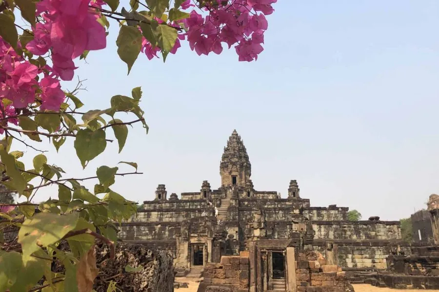 Roulous Cambogia