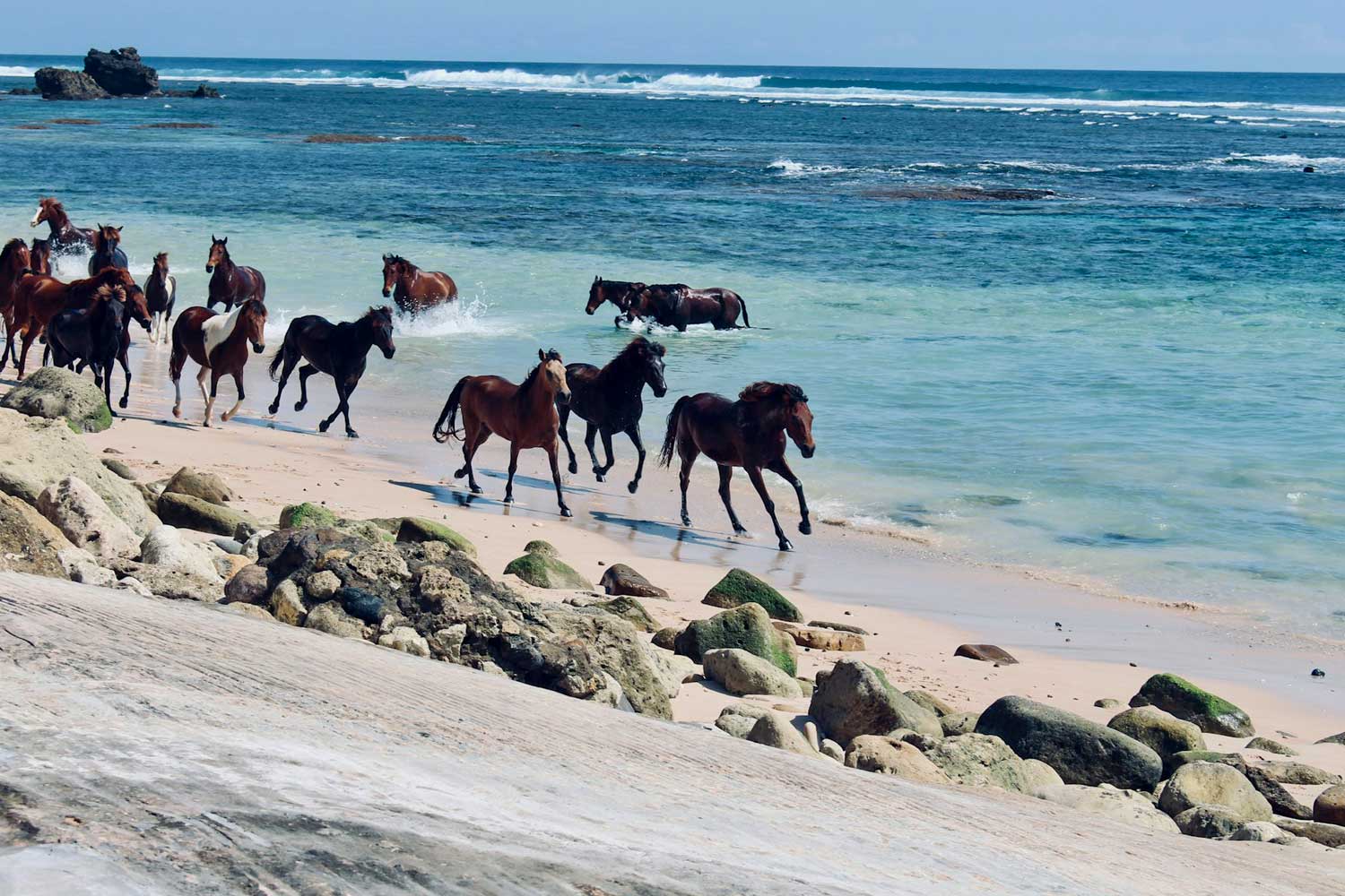 Bali Sumba e relax a Nusa Lembongan
